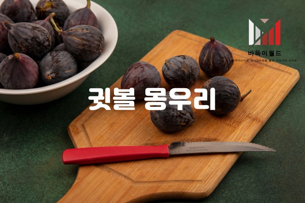 귓불 몽우리의 치료와 예방법