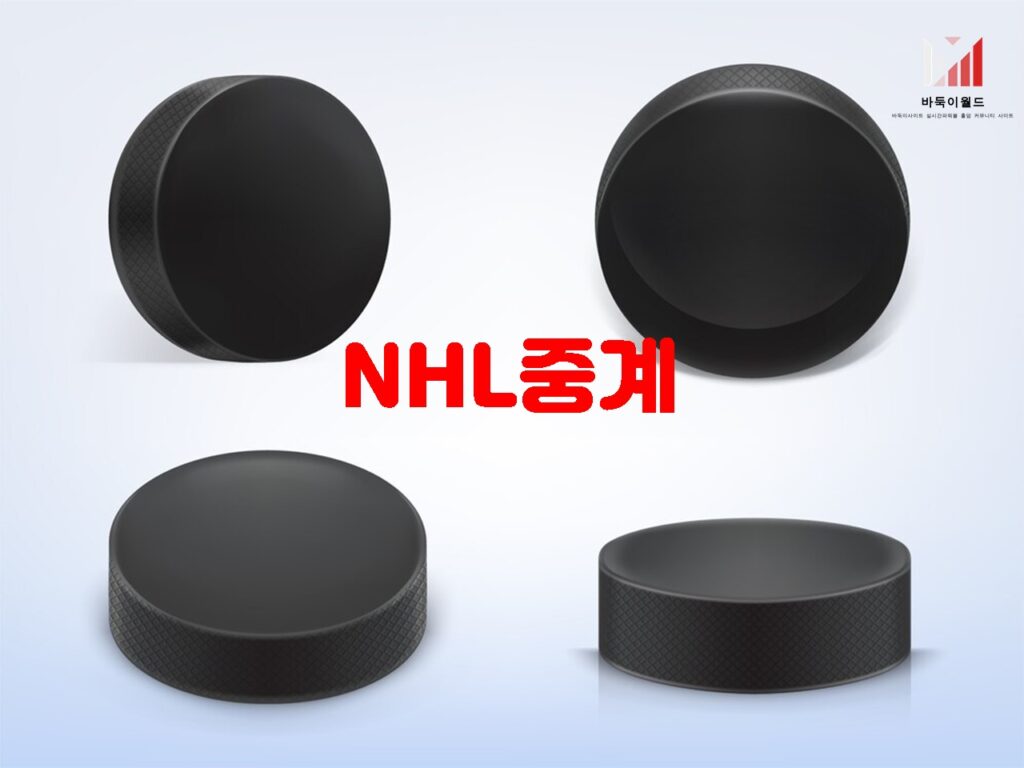 NHL 중계 사이트와 경기 일정, 팀 소개